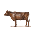 Jersey Cow Sculpture Catherine Best Dev