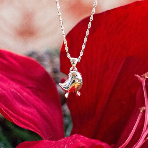 Fred the Robin Pendant Catherine Best