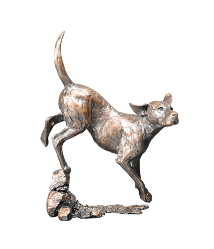Richard Cooper Foxhound Bronze Sculpture Catherine Best Dev
