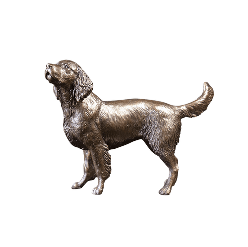 Richard Cooper Medium Springer Spaniel Bronze Sculpture Catherine Best Dev