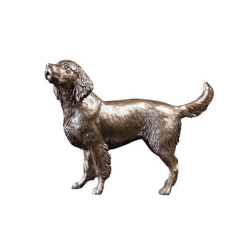 Richard Cooper Medium Springer Spaniel Bronze Sculpture Catherine Best Dev 