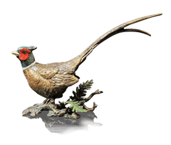 Richard Cooper Pheasant Bronze Sculpture Sculptures & Statues Catherine Best 