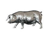 Richard Cooper Pig Nickel Resin Sculpture Catherine Best Dev