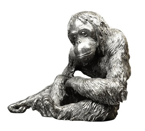 Richard Cooper Orangutan Nickel Resin Sculpture Catherine Best Dev 