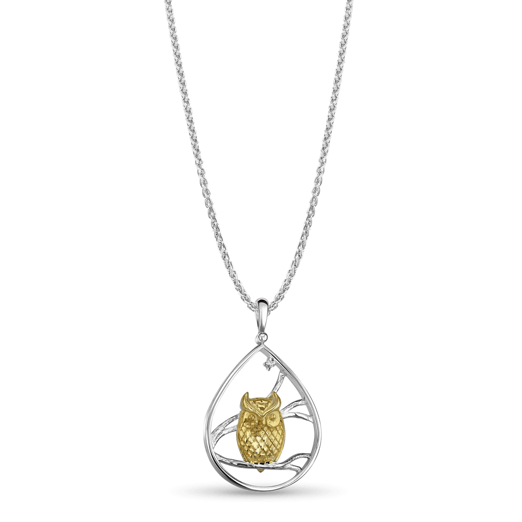 Owl pendant clearance necklace forever 21