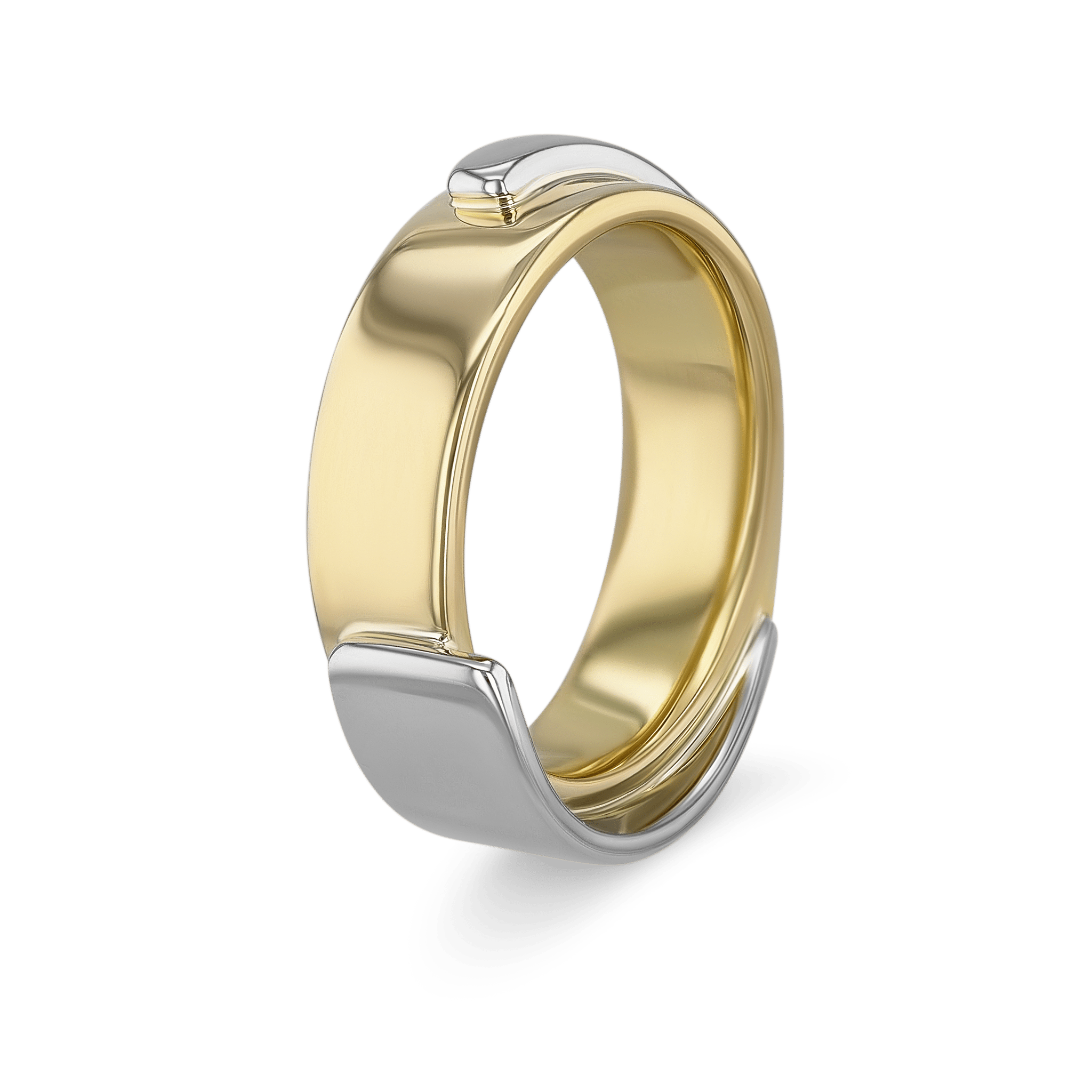 Evolution Ring – Catherine Best