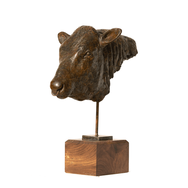 Bull's Head Sculpture Catherine Best Dev 