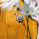Clematis Empress Brooch Catherine Best Dev 