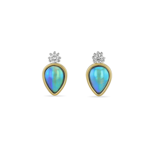 Noa Earrings