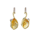 Honey Earrings