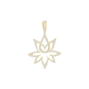 Diamond Hope