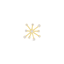 Fireworks Pin