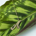 Initial A Love Letter Pendant Catherine Best Dev 