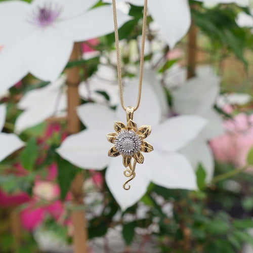 Clematis Empress Pendant Catherine Best Dev 