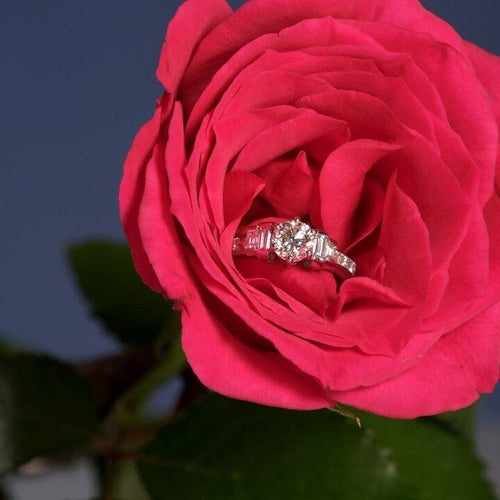 Trust In Me Ring Catherine Best Dev 