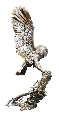 Richard Cooper Silent Shadow Owl Bronze Sculpture Catherine Best Dev 
