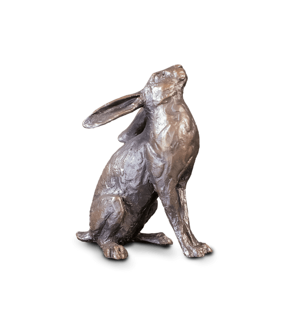 Richard Cooper Medium Hare Moon Gazing Bronze Sculpture Catherine Best Dev 