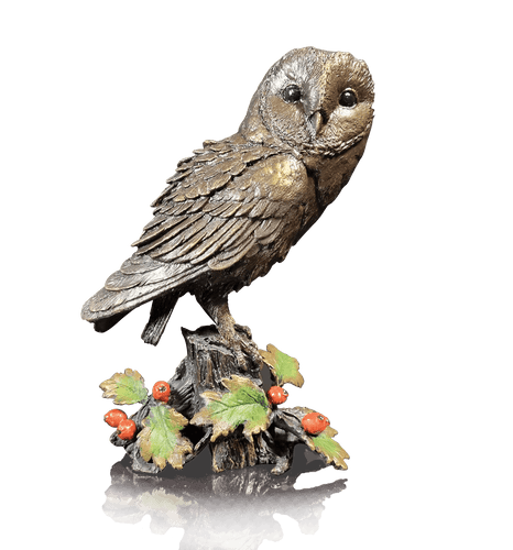 Richard Cooper Barn Owl with Hawthorn Bronze Sculpture Sculptures & Statues Catherine Best 