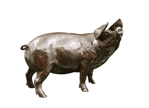 Richard Cooper Medium Gloucester Old Spot Pig Bronze Sculpture Catherine Best Dev 