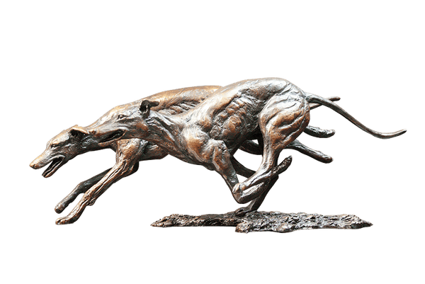 Richard Cooper Greyhounds Bronze Sculpture Catherine Best Dev 