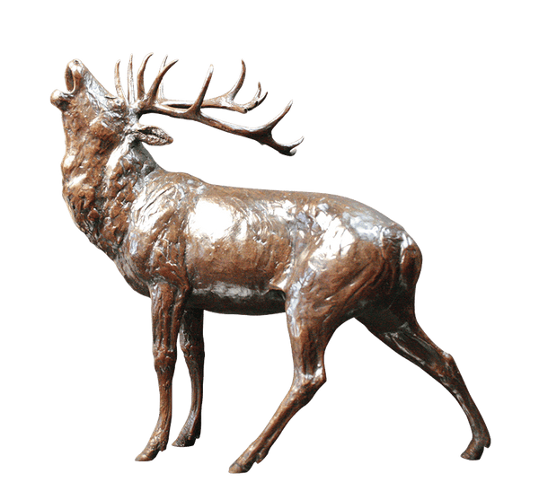Richard Cooper Roar of the Highlands Stag Bronze Sculpture Catherine Best Dev 