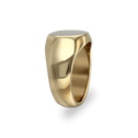 The Gentleman's Grand Signet Ring in Silver or Gold Catherine Best Dev 