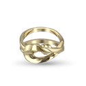 Inner Balance Ring Catherine Best Dev 9ct Yellow Gold 