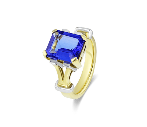 Kagera River Ring Catherine Best Dev 18ct Yellow Gold and Platinum 